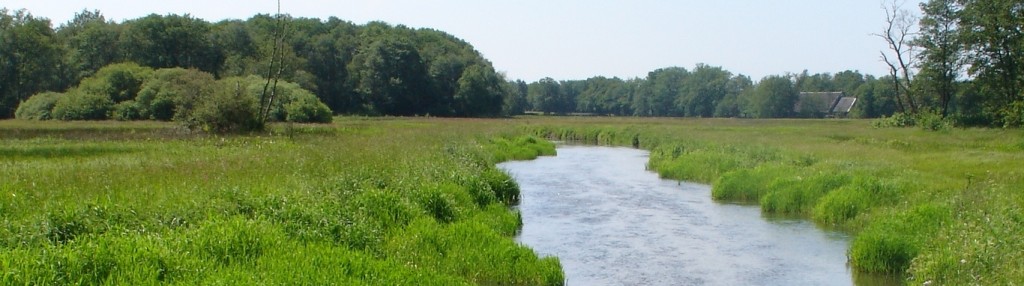Beekdal