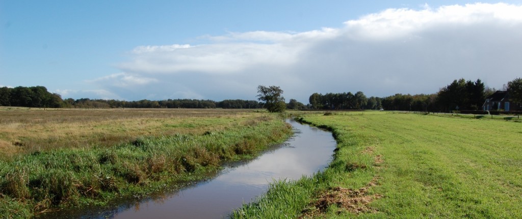 Reest in oktober