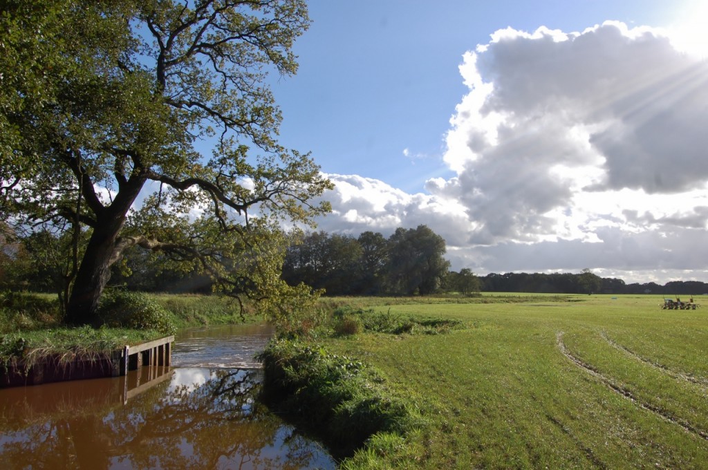 Stuw van Dickninge